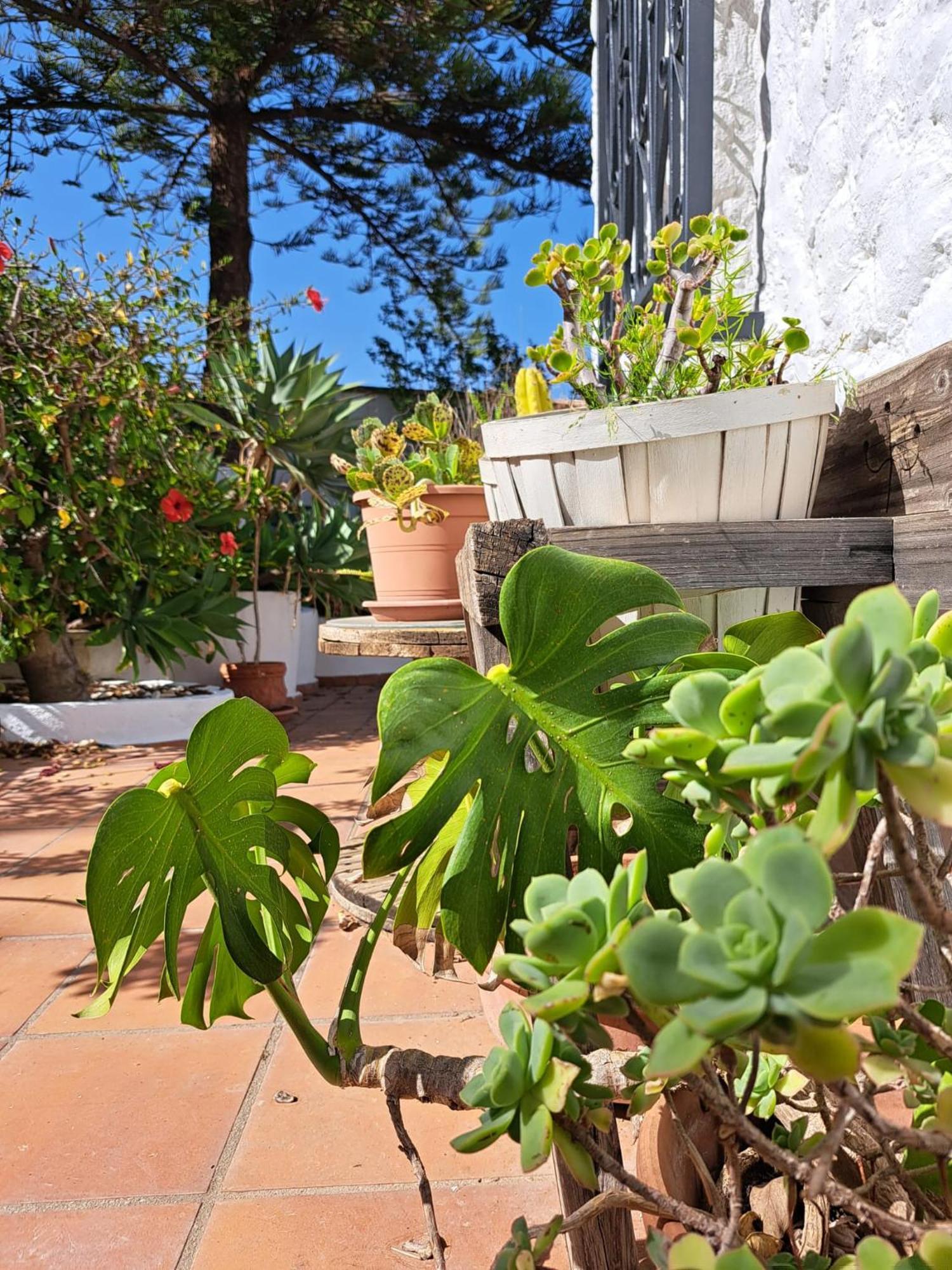 Casa Campo Mijas Costa Del Sol มาลากา ภายนอก รูปภาพ
